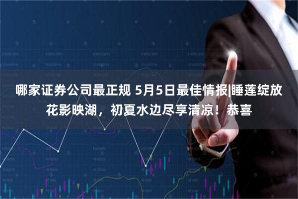 哪家证券公司最正规 5月5日最佳情报|睡莲绽放花影映湖，初夏水边尽享清凉！恭喜